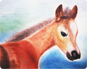 Картина фонда "Подари жизнь"